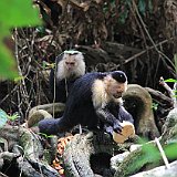 Costa Rica20150331-1922-0467